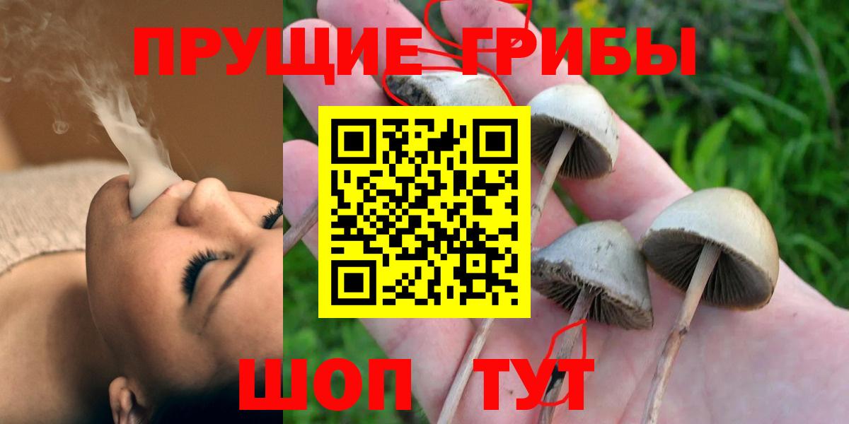Псилоцибиновые грибы GOLDEN TEACHER  Вход с VPN  Псилоцибиновые грибы прущие грибы  Красноярск 